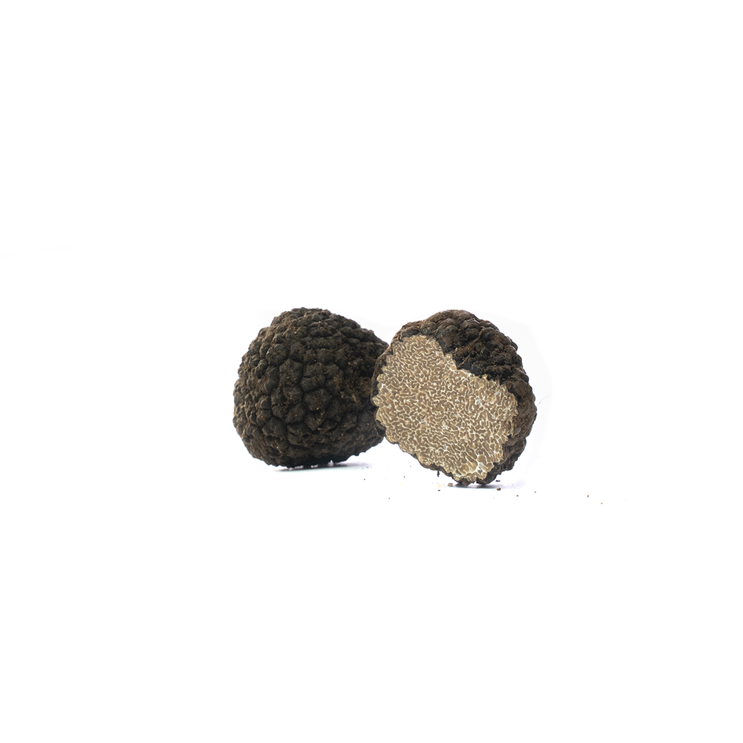 Tuber Aestivum - Scorzone